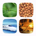 Guess the Word: 4 Pics 1 Word