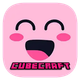 Cube Craft : Building Pink