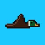 Ducking out