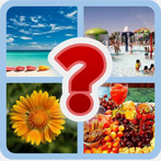 4 Pics 1 Word: Brain Test