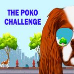 VTV - The Poko Challenge
