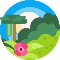 Hidden Object : The Jungle