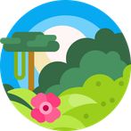 Hidden Object  : The Jungle