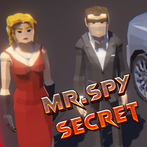 Mr & Mrs Spy Secret