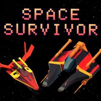 Space Survivor