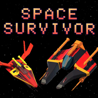 Space Survivor