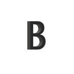 Bible Challenge