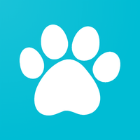 Cute Dogs Memory Game