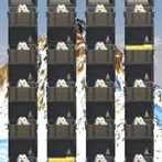 Treasure Snow Mountain