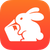 RabbitLabs