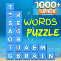 Words Puzzle - Find the Words