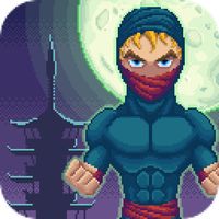 The Best Ninja