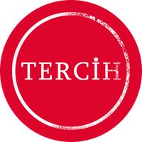 Seçim 2023 Müşahit oyunu