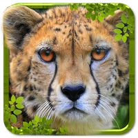 Wild Cheetah Simulator 3D