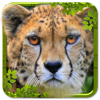 Wild Cheetah Simulator 3D