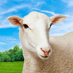 Crazy City Goat Simulator