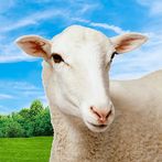 Crazy City Goat Simulator