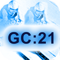 Ghost Copy 21 (GC:21) for Ski 