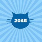 2048 stray cats