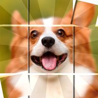 Jigsaw Puzzles - Jigsort Game
