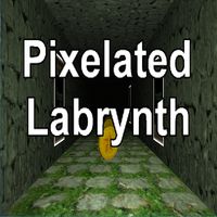 Pixelated Labrynth