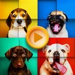 Cute Dogs Jigsaw Puzzles
