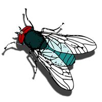 Counting Bugs