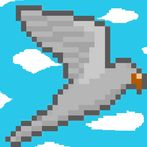 Touch Bird : 버드 점프