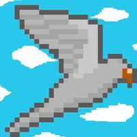 Touch Bird : 버드 점프