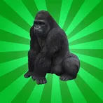 Animal Meme Simulator 63 Ape