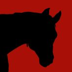 Horse Plays