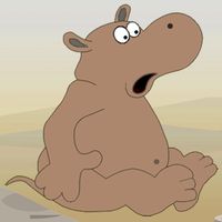 Что увидел Бегемот. Тренировка