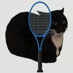 Cat Tennis