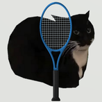 Cat Tennis