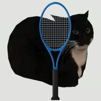 Cat Tennis