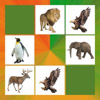 Zoo Animal Games Picture Game