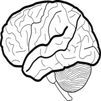 Brain Memory - Test your memor