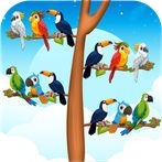 Bird Sort Color Match Games