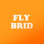 Fly Bird
