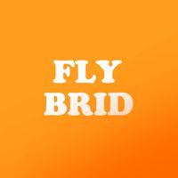 Fly Bird
