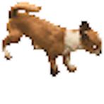 Tina Walking Shooting