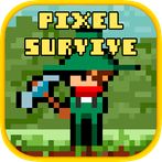 Pixel Survival Adventure