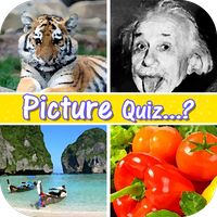 Ultimate picture quiz