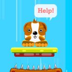 Save the pets: Animal Rescue