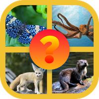 Animal guessing