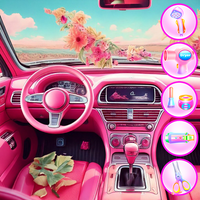 Animals Car Salon Cleaning