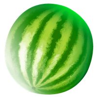 Decoded - Animal Friends