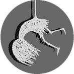 LV13 Puzzle - Free Games; Fun 