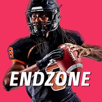 ENDZONE - Online Franchise Foo
