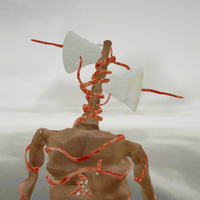 Scary Head : Horror Zone